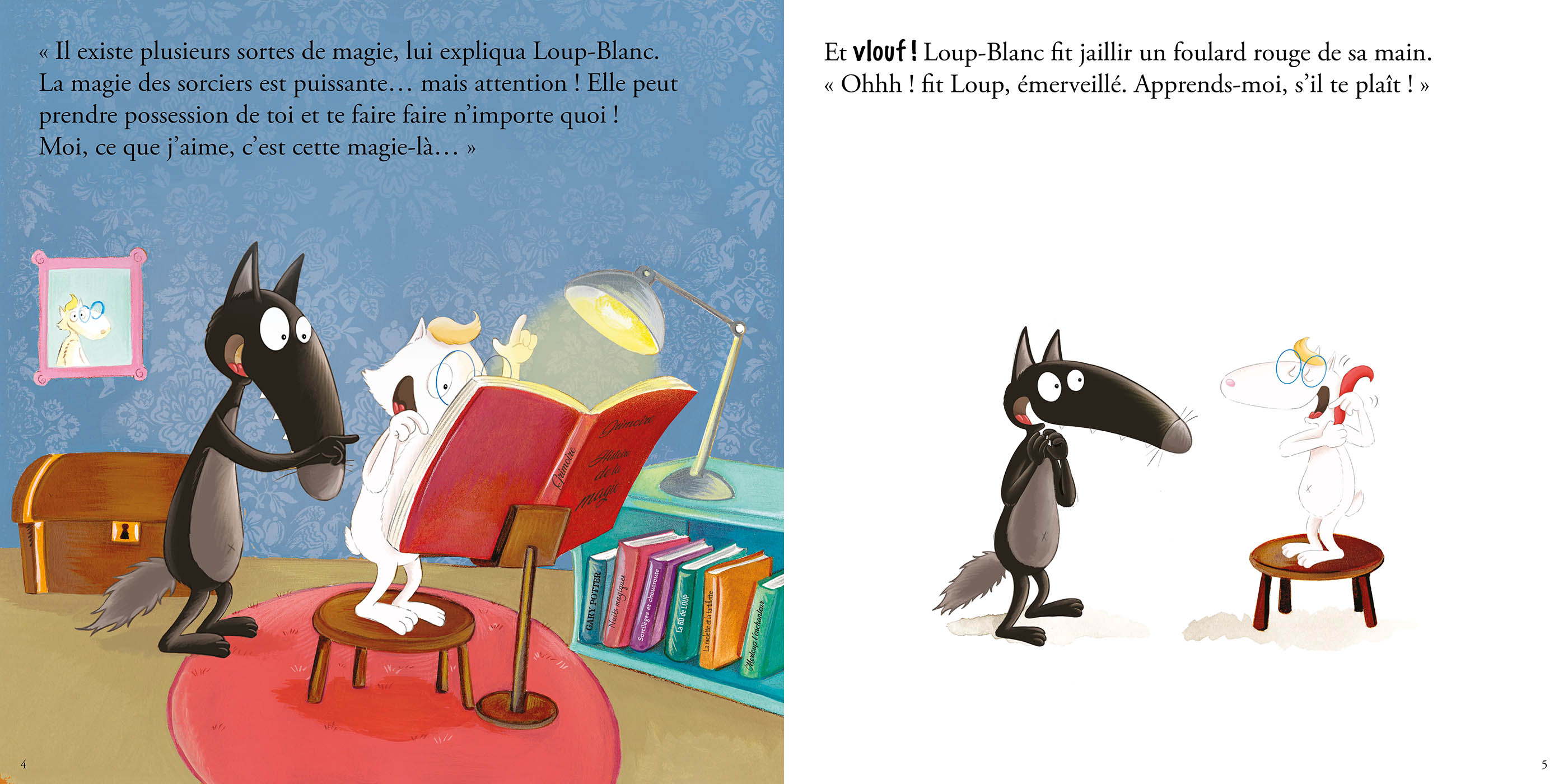 LE LOUP QUI VOULAIT ETRE UN SUPER MAGICIEN