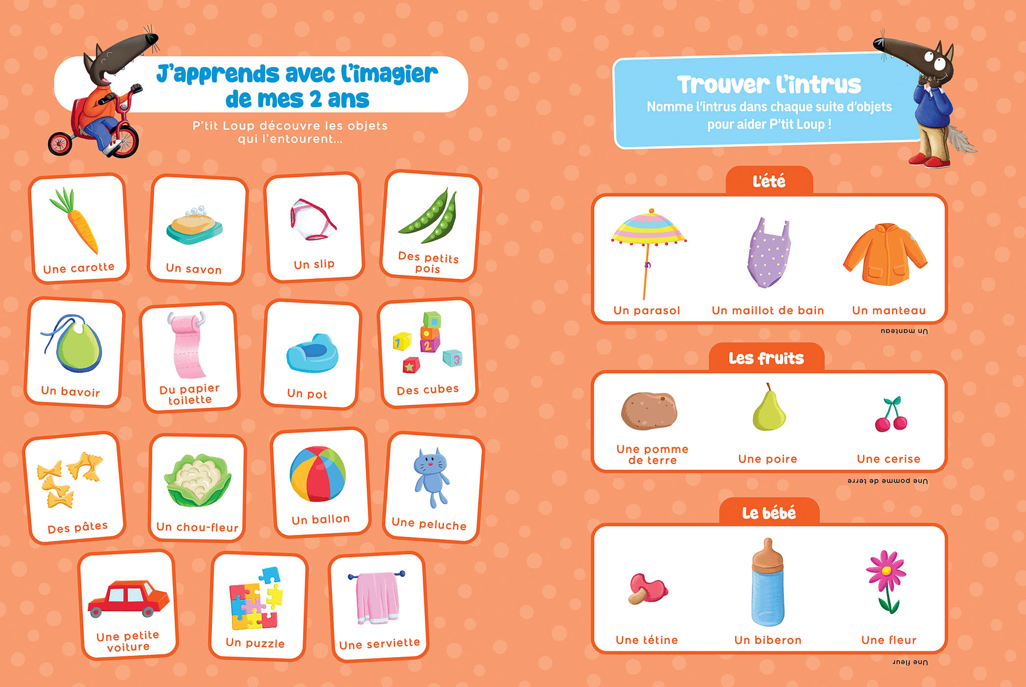 P'tit Loup - Le Livre De Mes 2 Ans