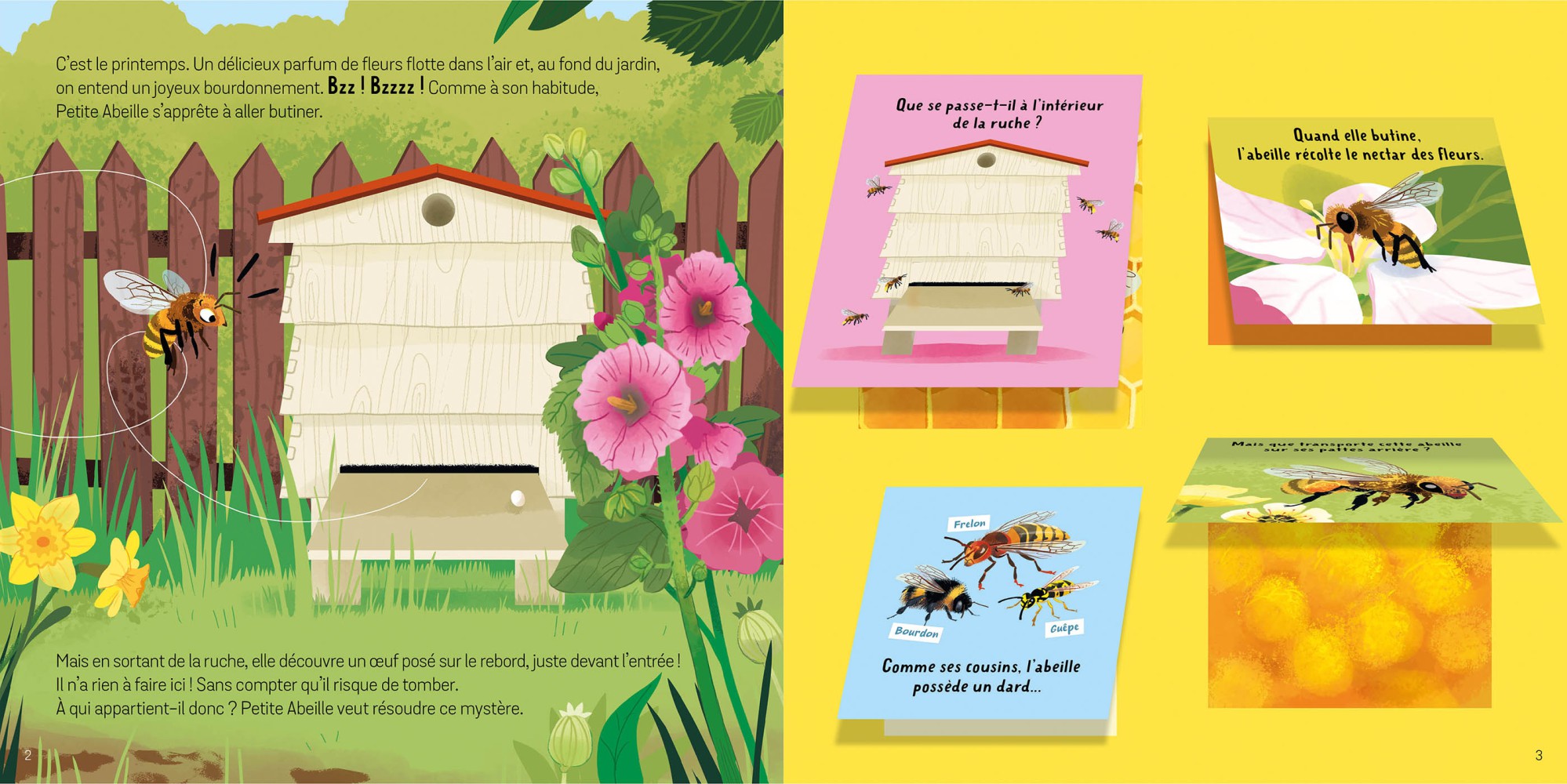 Soulève Les Flaps : Les Animaux Du Jardin