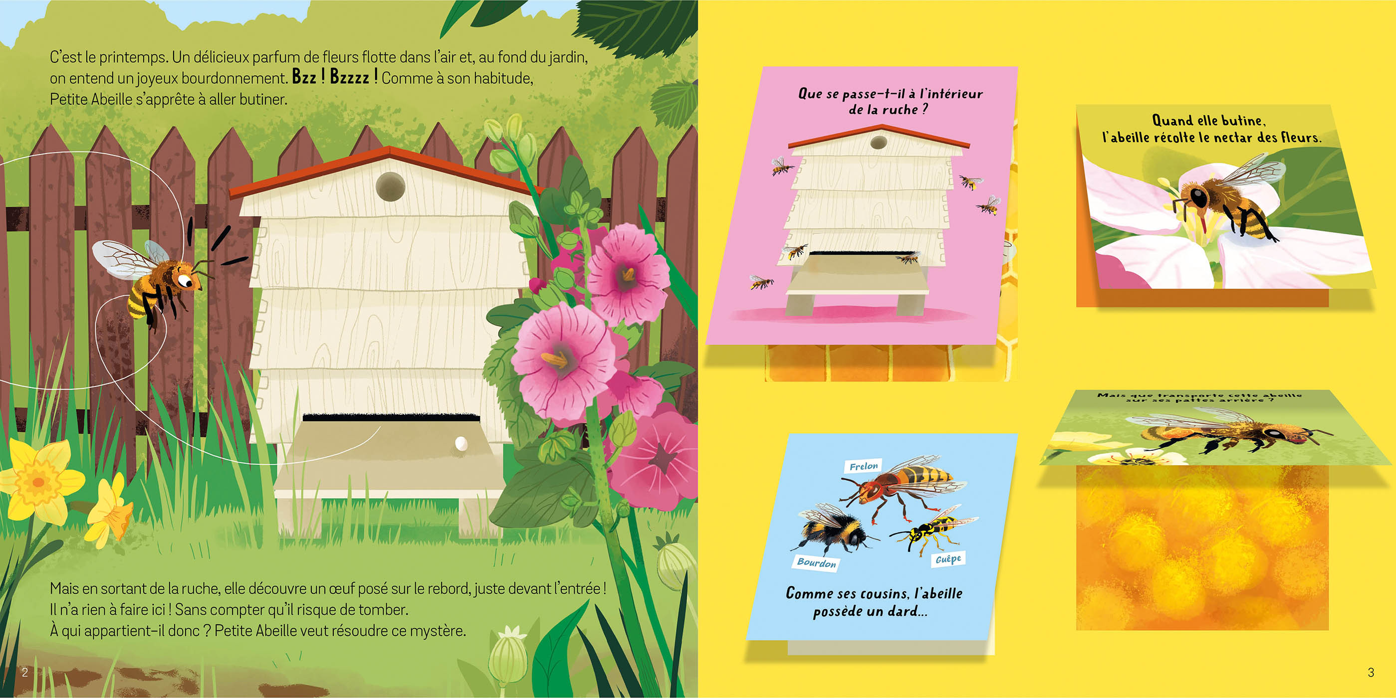 Soulève Les Flaps : Les Animaux Du Jardin