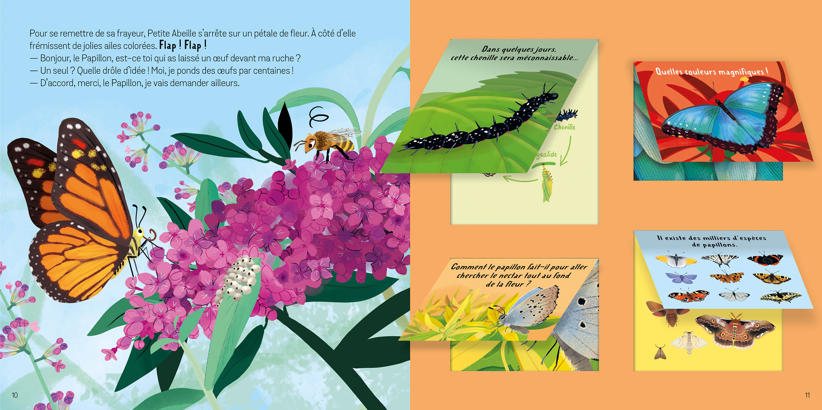 Soulève Les Flaps : Les Animaux Du Jardin