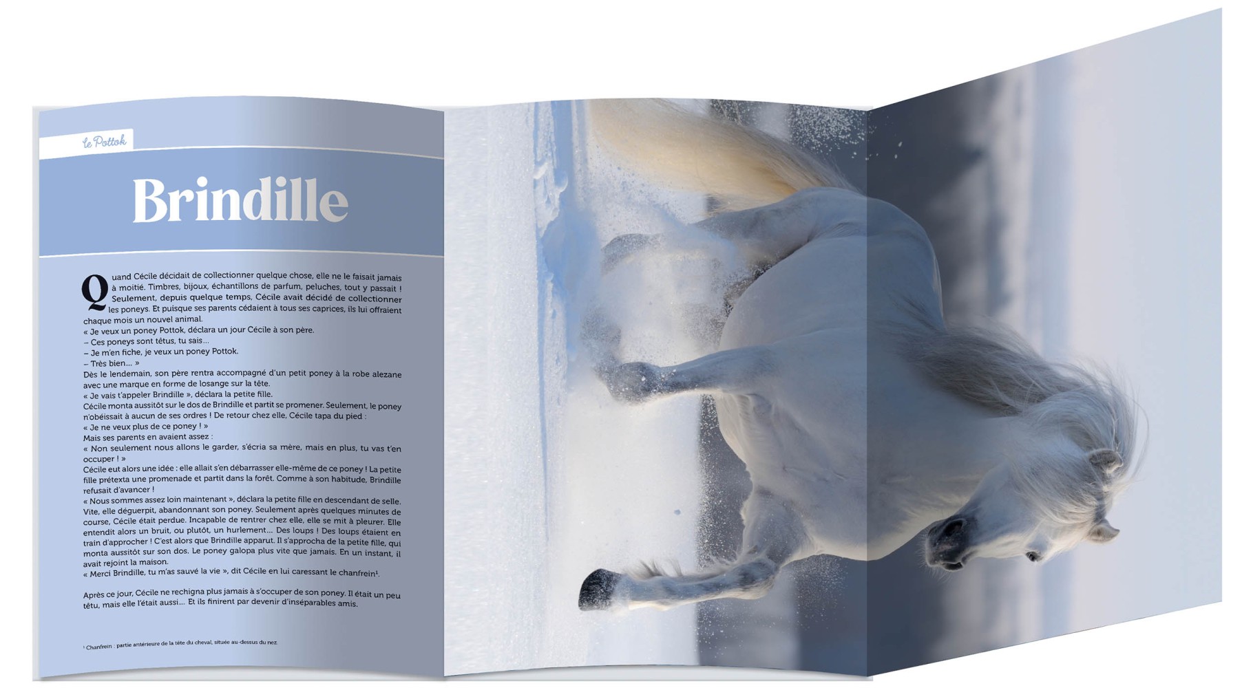 Mes plus belles histoires de poneys