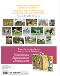 MES PLUS BELLES HISTOIRES DE PONEYS MES PLUS BELLES HISTOIRES DE PONEYS