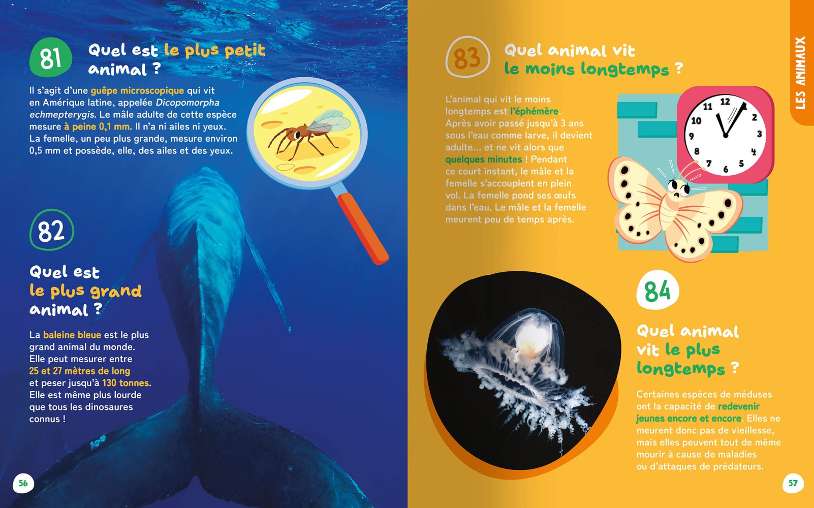 Les Petites Et Grandes Questions De Mes 3-6 Ans