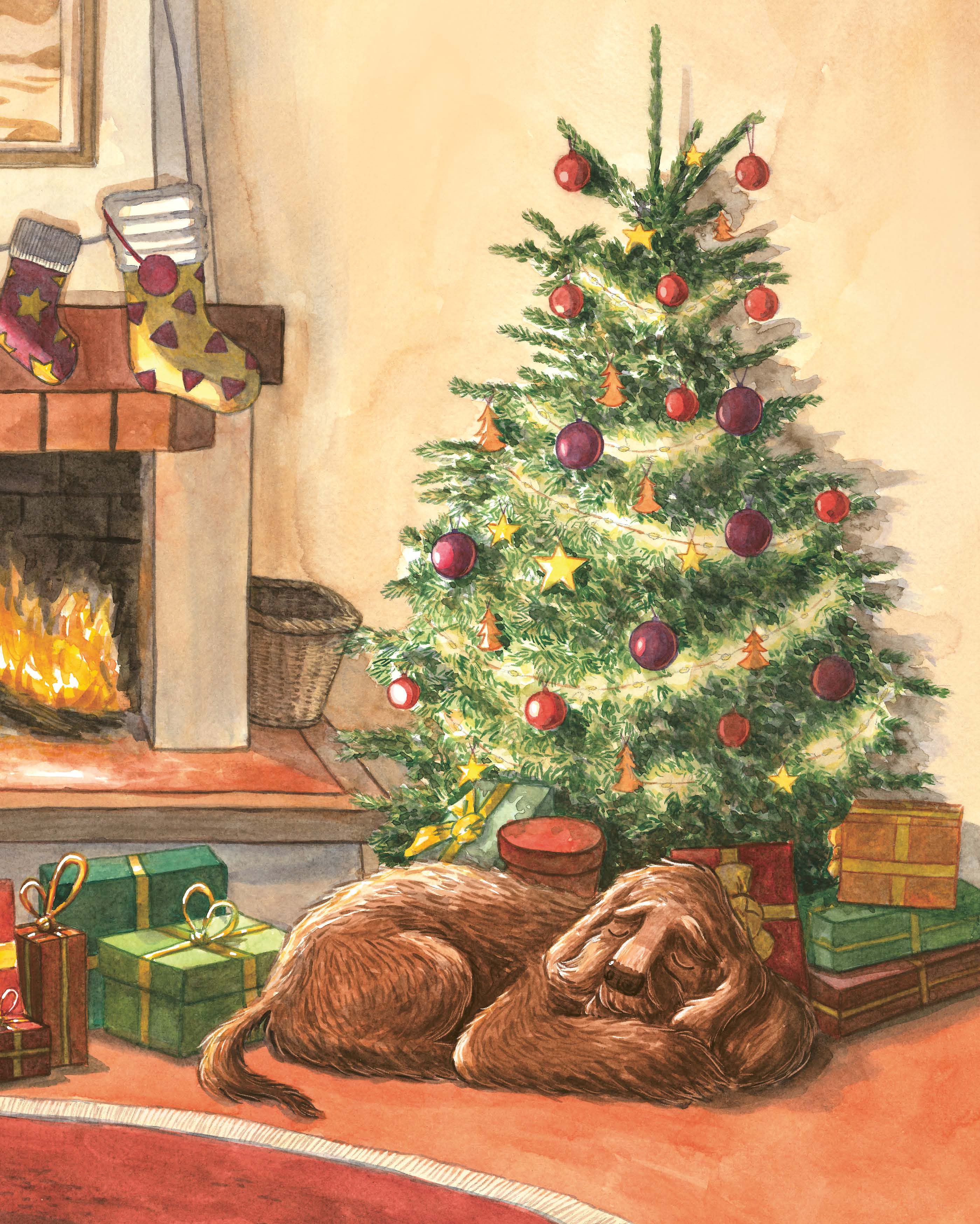 LE NOEL DE POIL ET PLUME