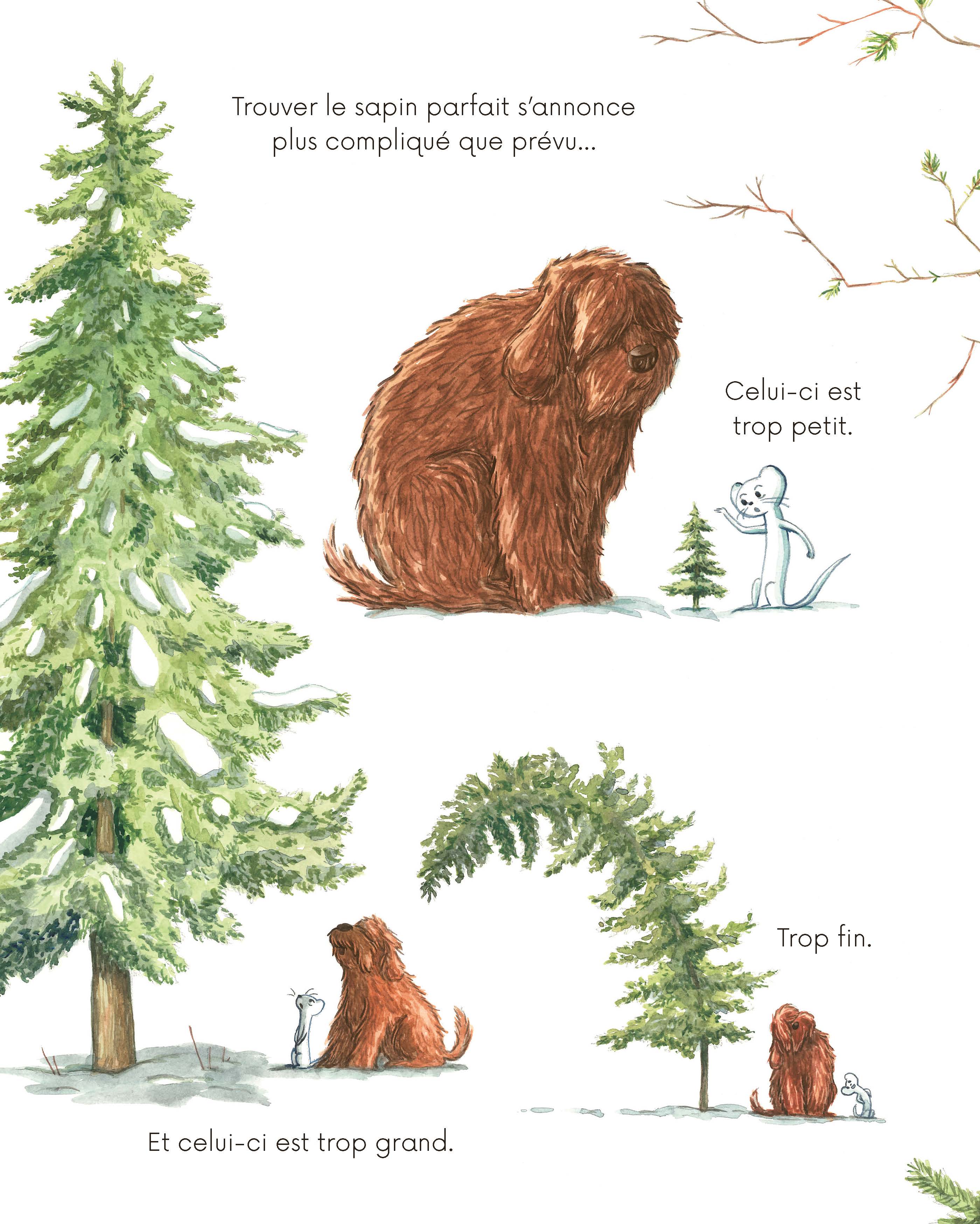 LE NOEL DE POIL ET PLUME