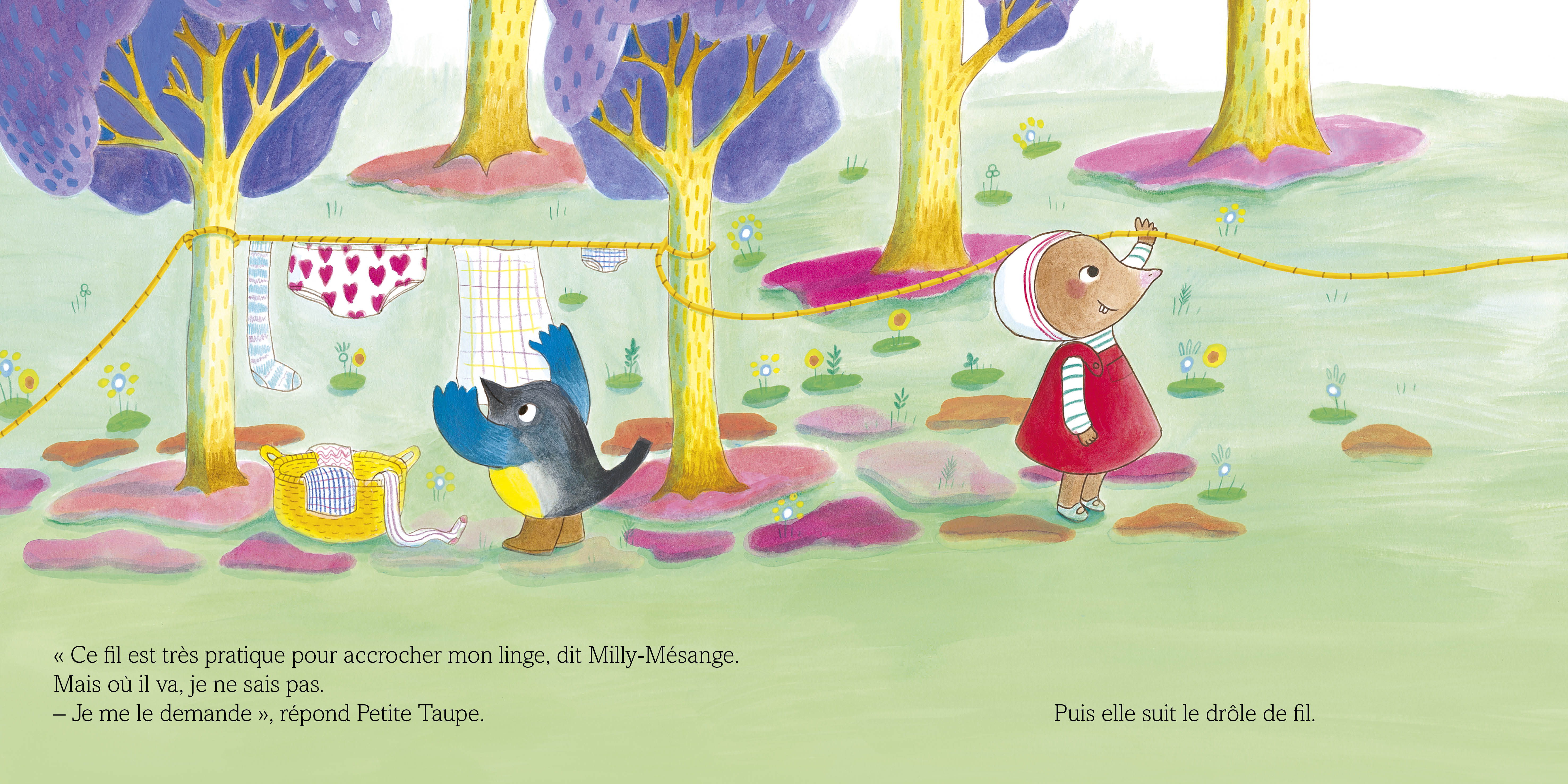 PETITE TAUPE ET LE DROLE DE FIL 