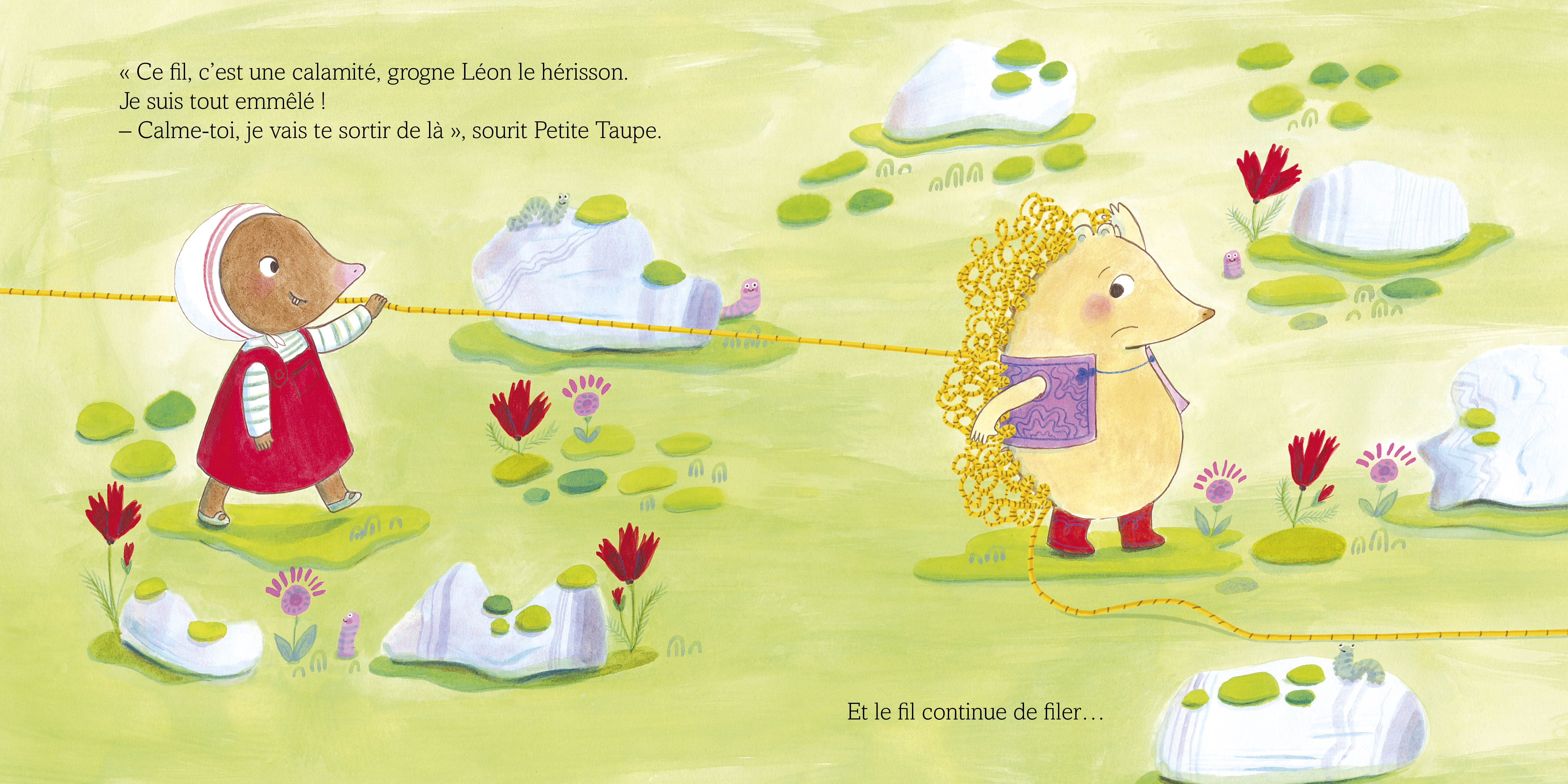 PETITE TAUPE ET LE DROLE DE FIL 