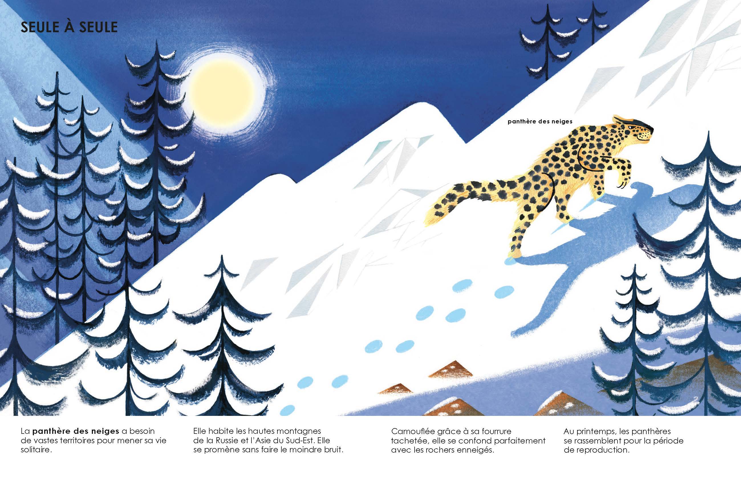 LES MAISONS DES ANIMAUX