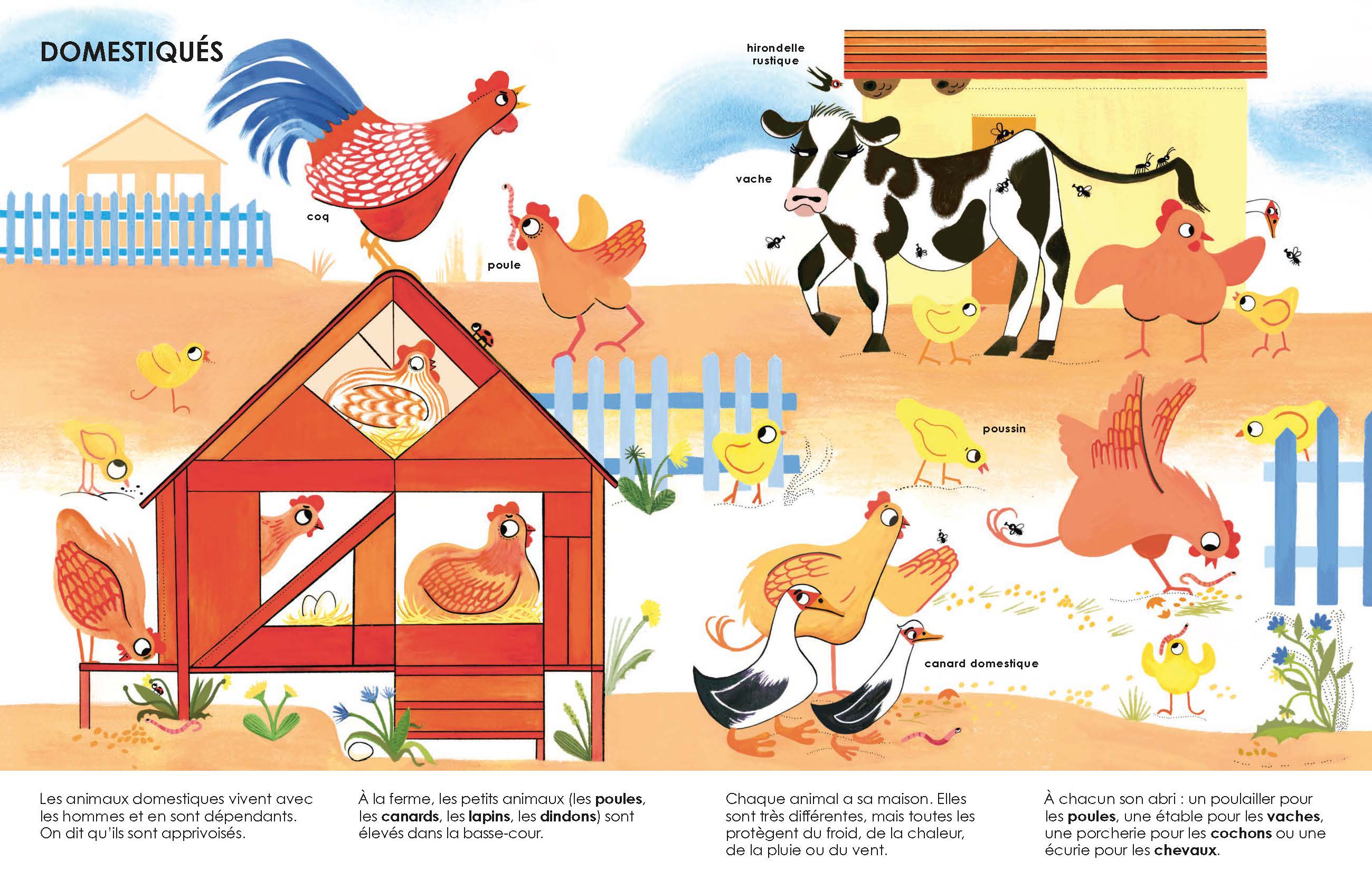 LES MAISONS DES ANIMAUX