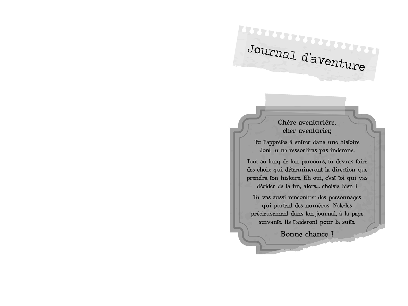 KIMI KIMURA ET LA CATA DES CONTES