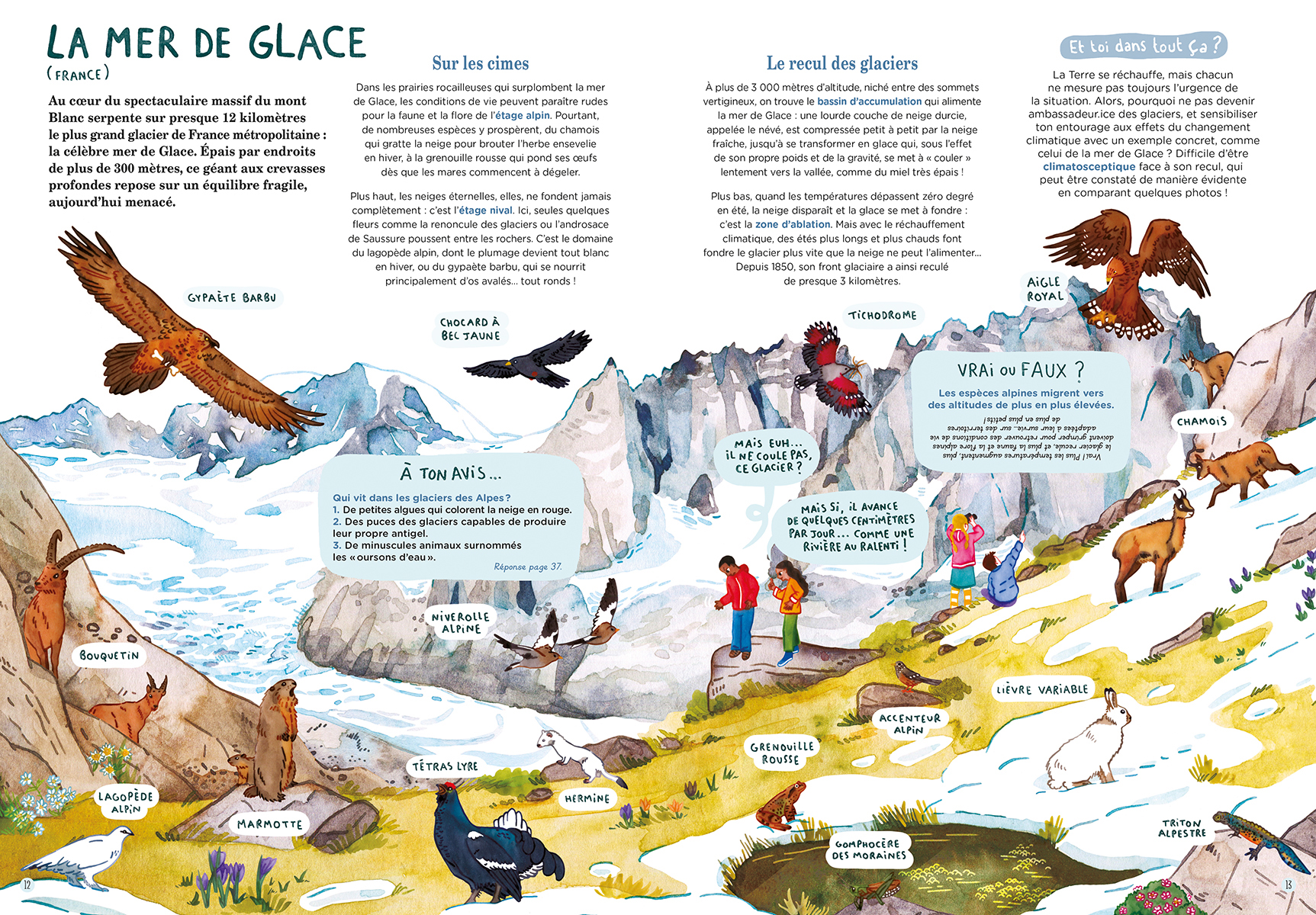 MONTAGNES ET GLACIERS