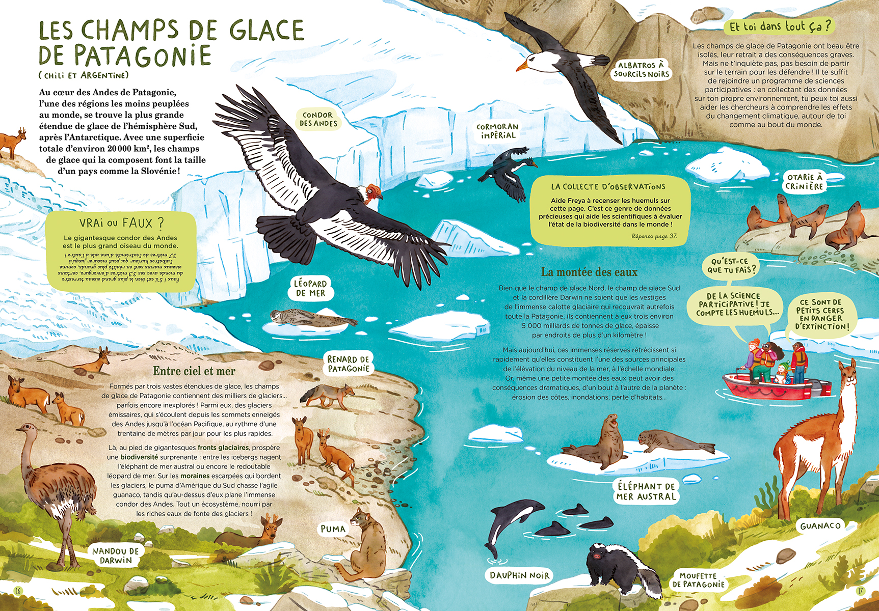 MONTAGNES ET GLACIERS