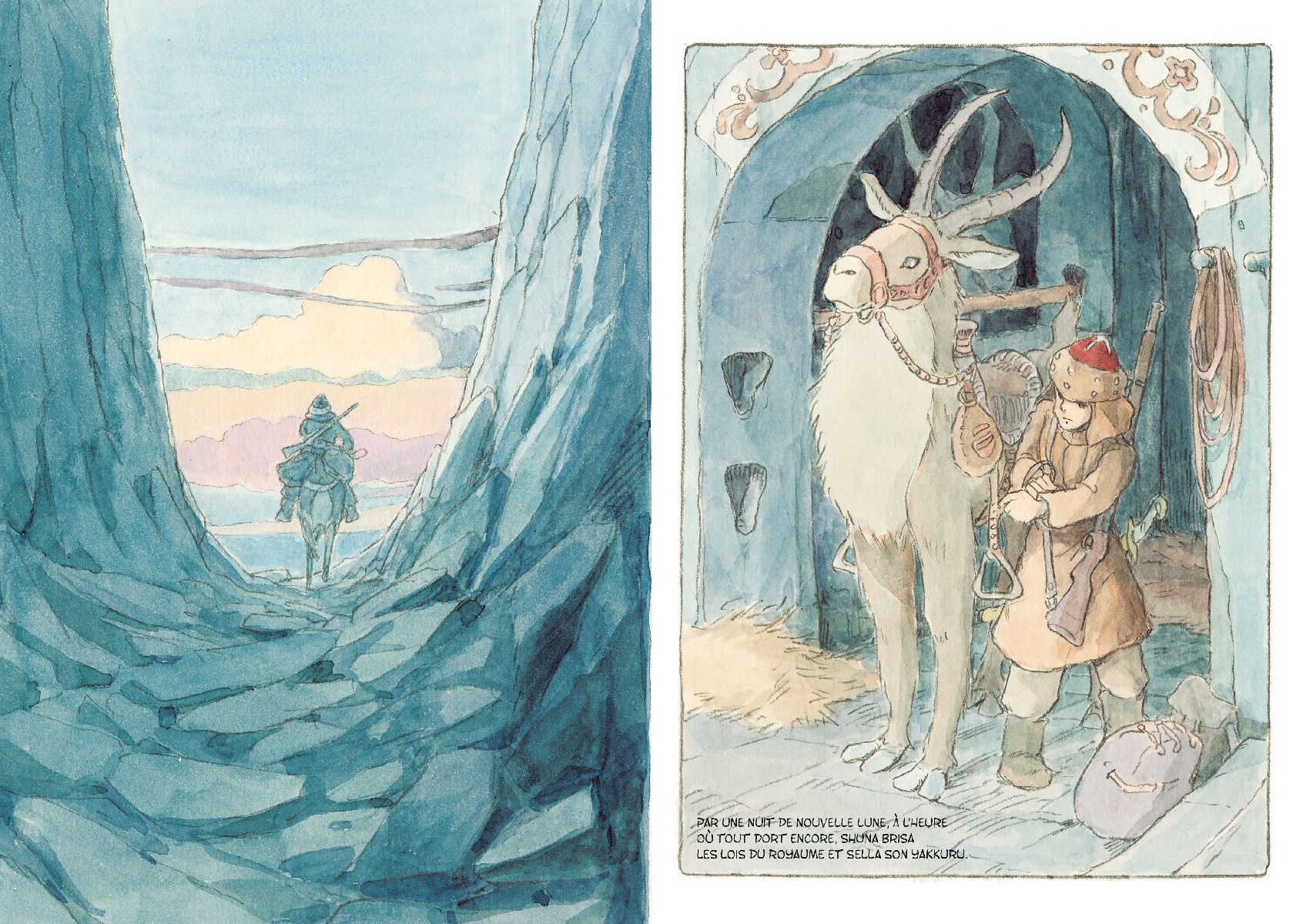 LE VOYAGE DE SHUNA