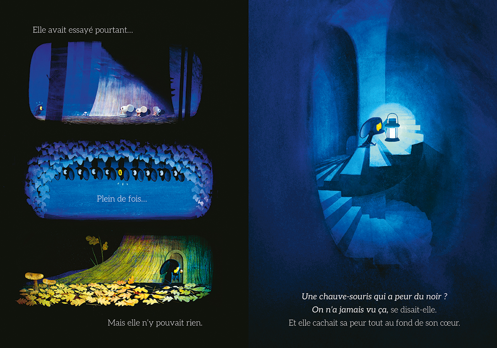 LA PETITE CHAUVE-SOURIS QUI AVAIT PEUR DU NOIR LA PETITE CHAUVE-SOURIS QUI AVAIT PEUR DU NOIR