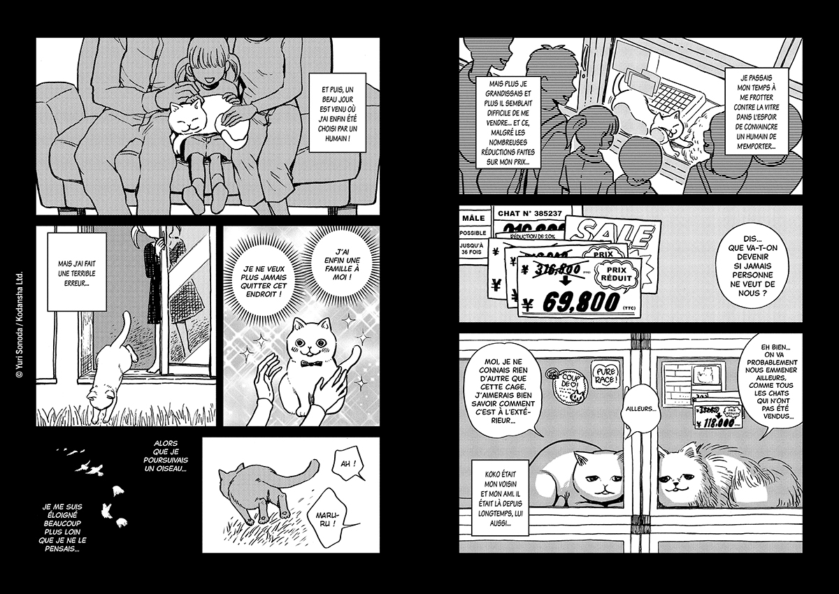 HACHI & MARURU : CHATS DES RUES T1 HACHI & MARURU : CHATS DES RUES T1