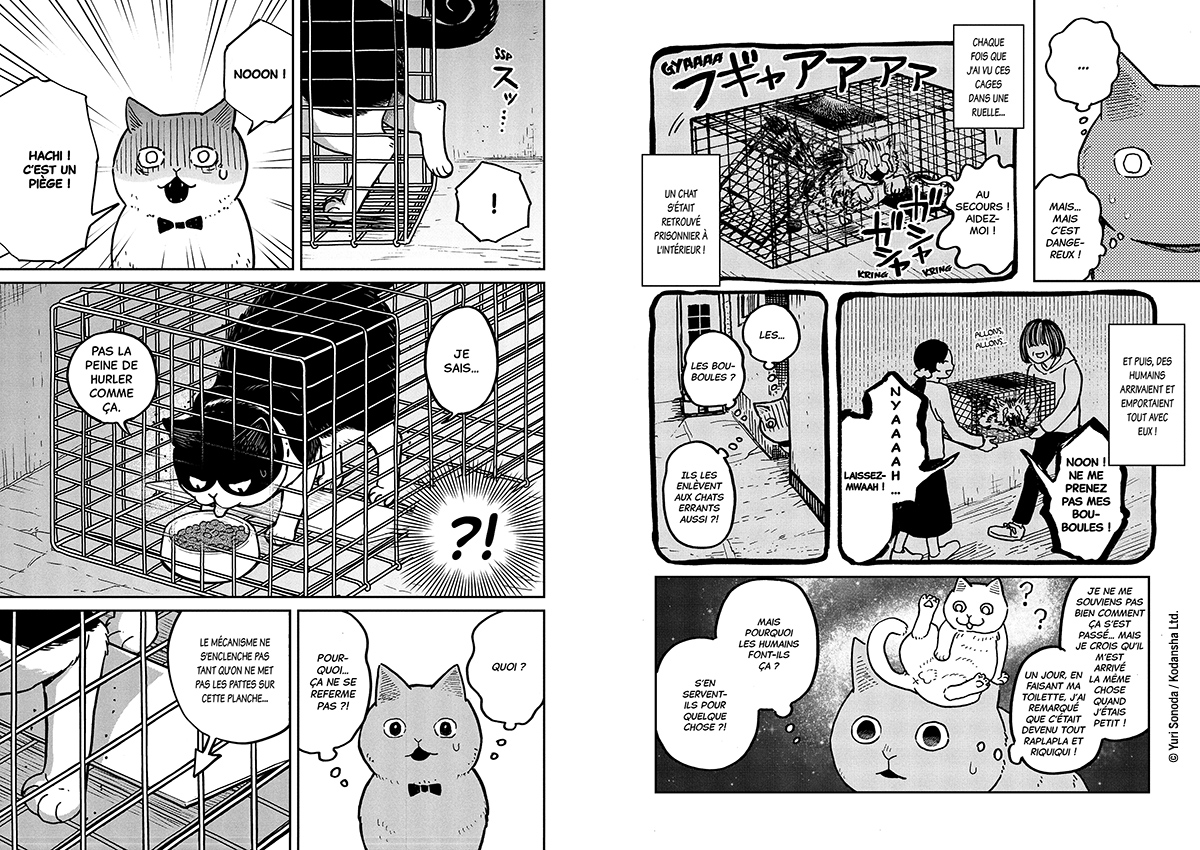 HACHI & MARURU : CHATS DES RUES T1 HACHI & MARURU : CHATS DES RUES T1