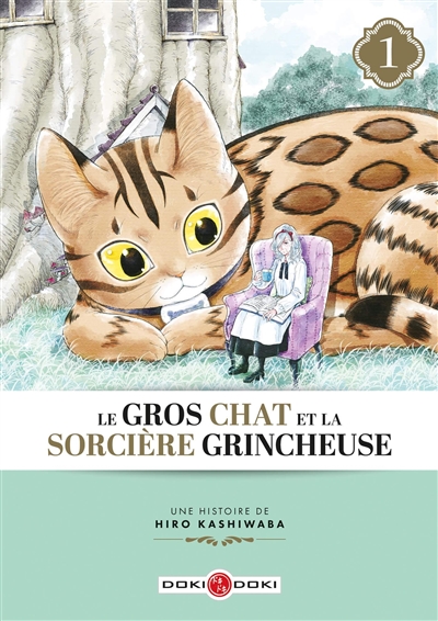 LE GROS CHAT ET LA SORCIERE GRINCHEUSE T1