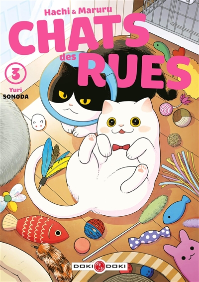 HACHI & MARURU : CHATS DES RUES T3