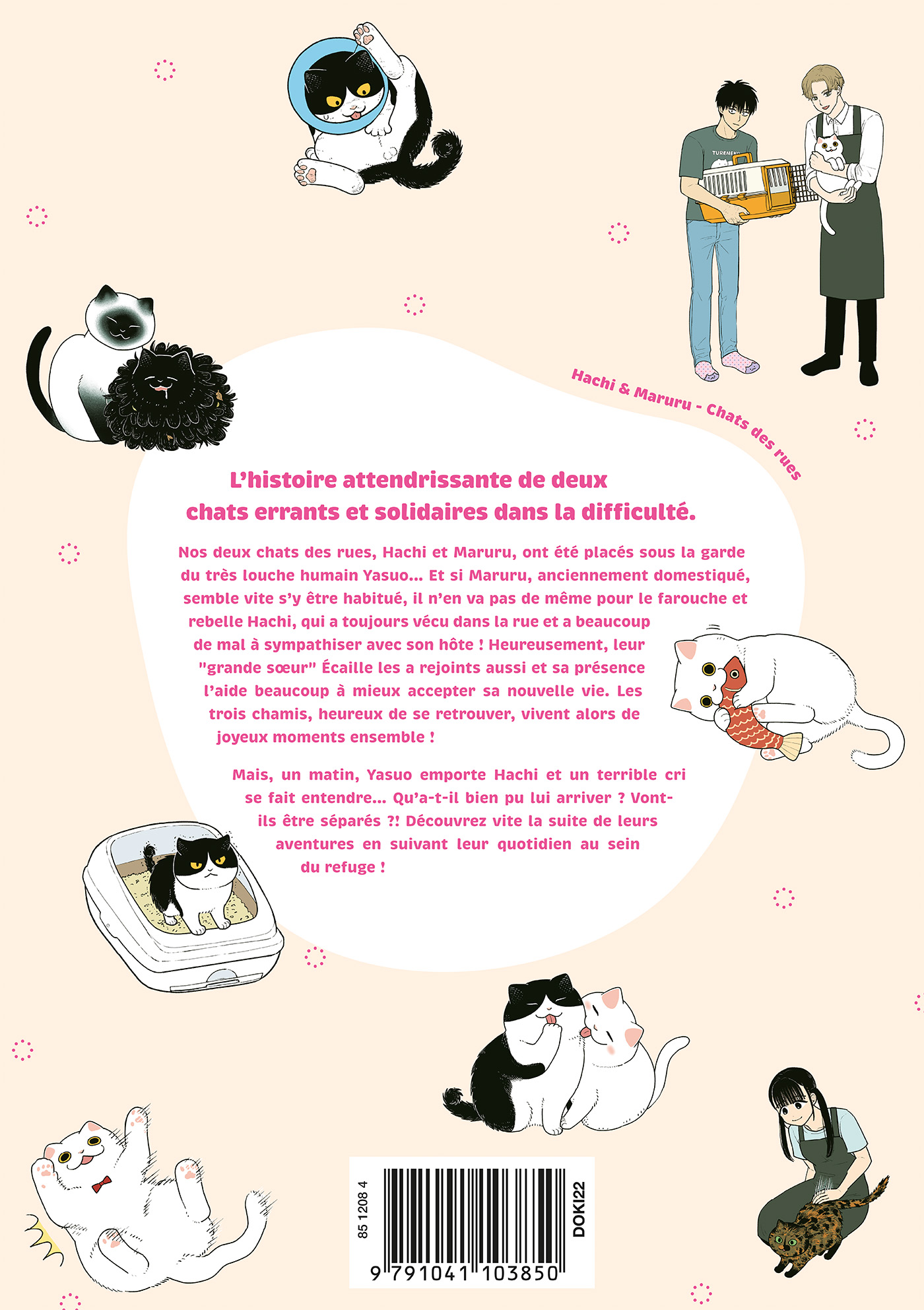 HACHI & MARURU : CHATS DES RUES T3
