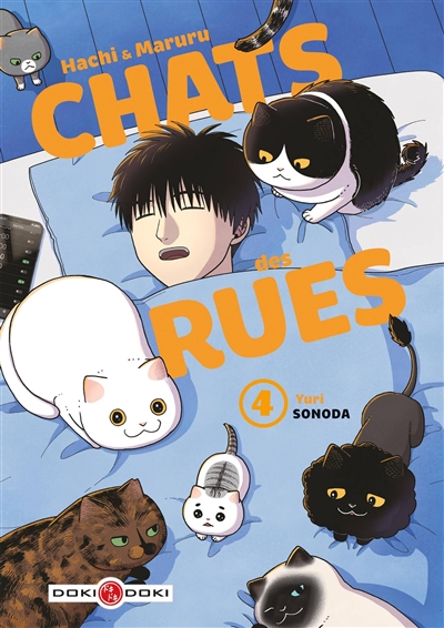HACHI & MARURU : CHATS DES RUES T4