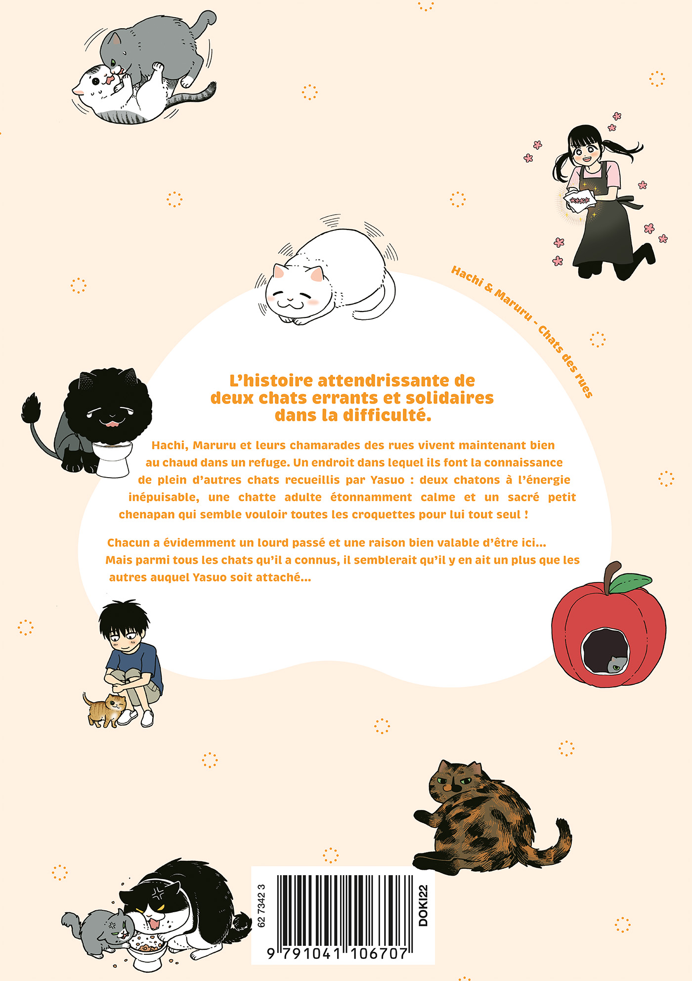 HACHI & MARURU : CHATS DES RUES T4