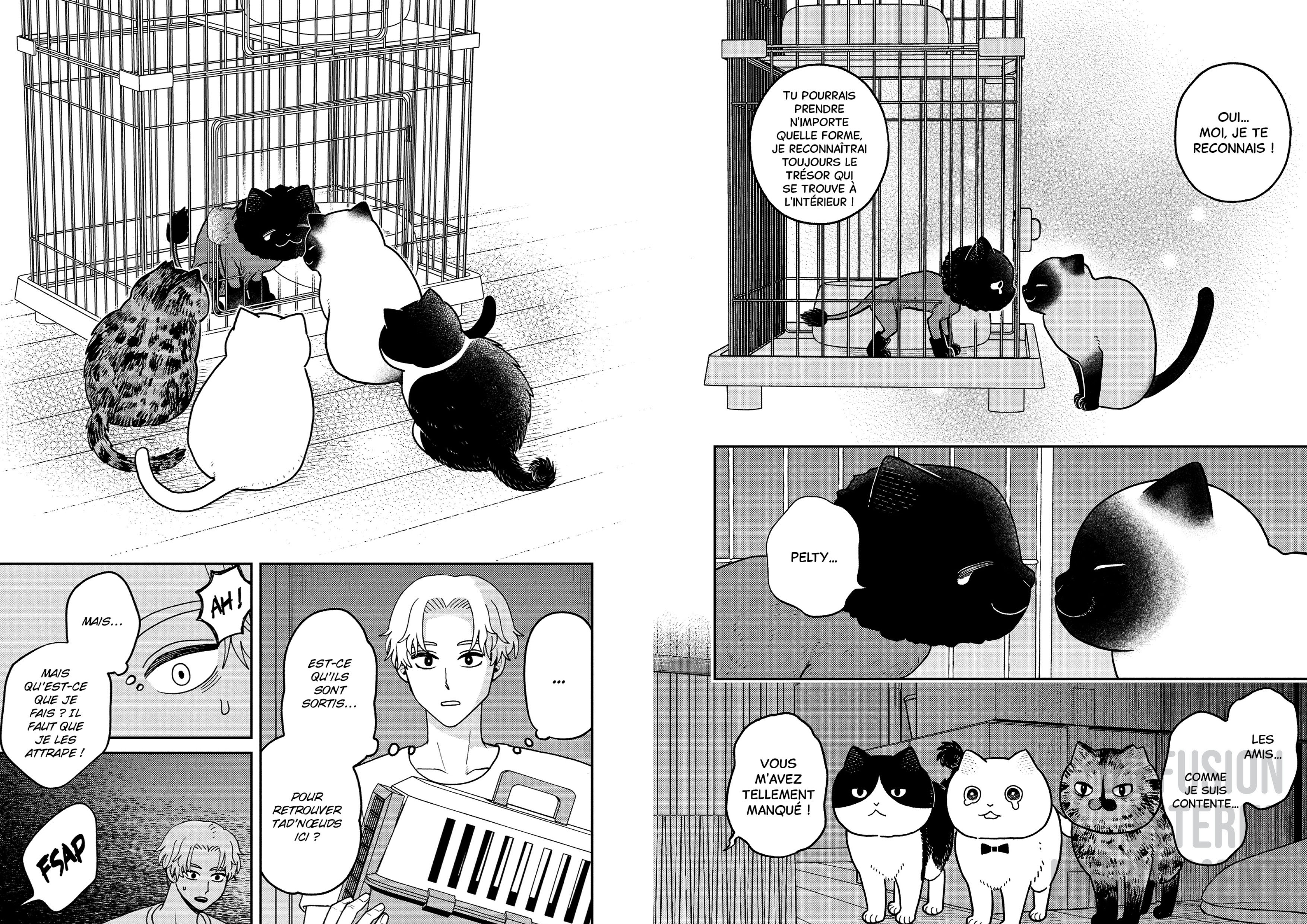 HACHI & MARURU : CHATS DES RUES T4