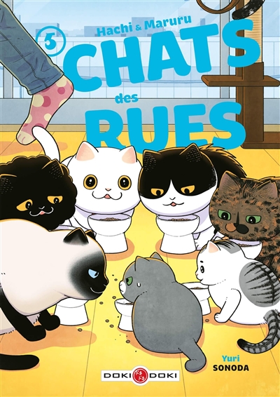 HACHI & MARURU : CHATS DES RUES T5