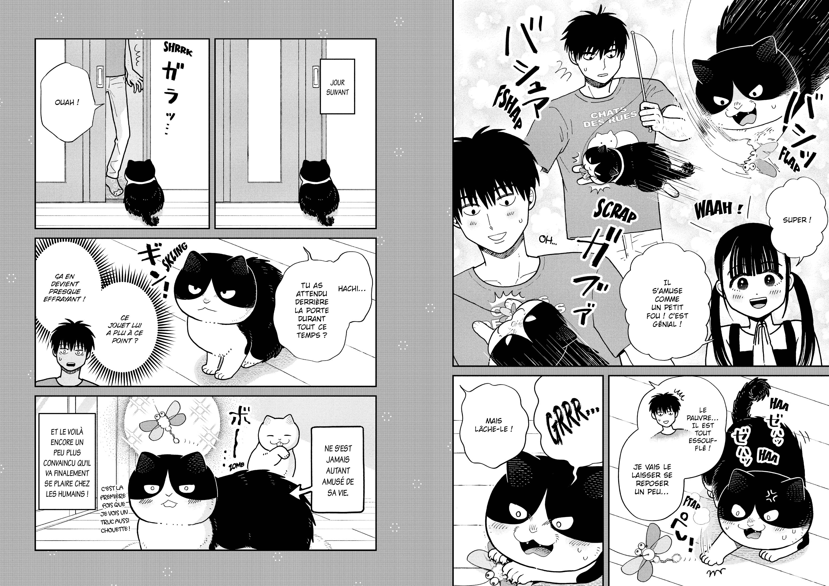 HACHI & MARURU : CHATS DES RUES T5