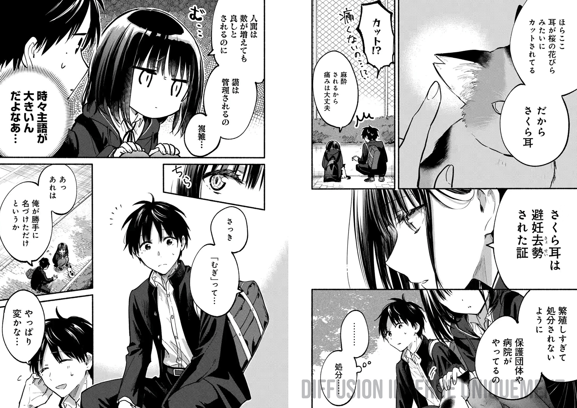 UNE FILLE SI FELINE T1