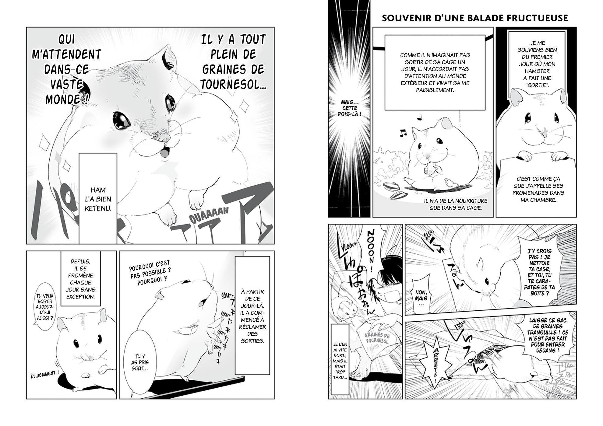 HAMSTER ET BOULE DE GOMME T2