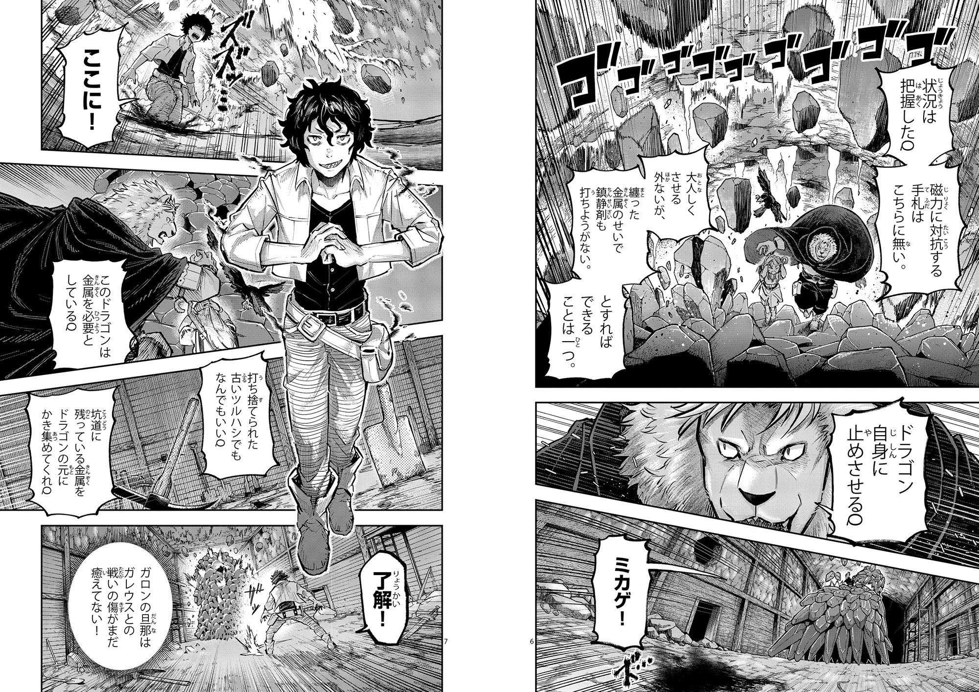 BEAST KING AND MEDICINAL HERB T5