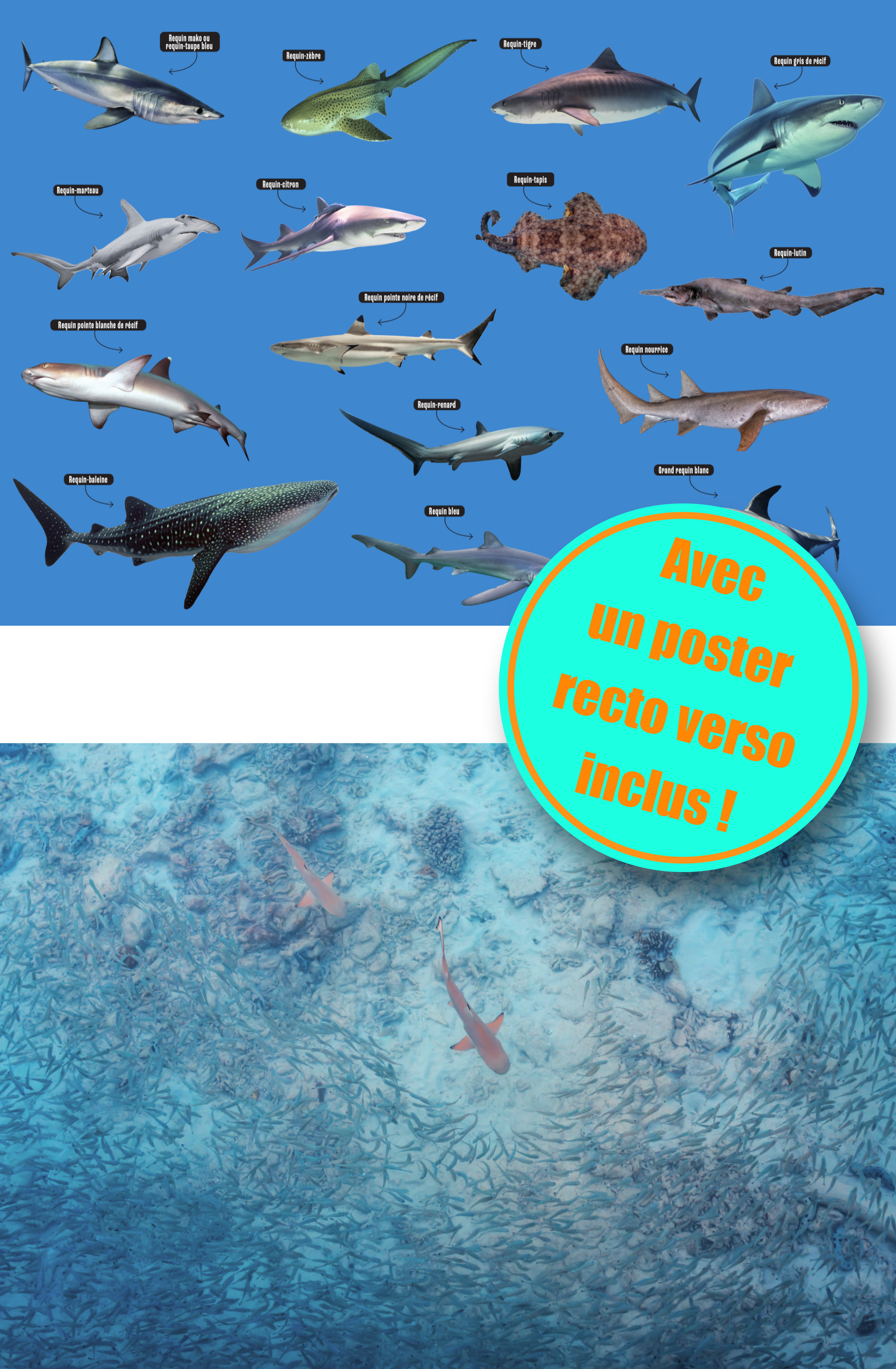 LES REQUINS - MILLE ET UN DOCS