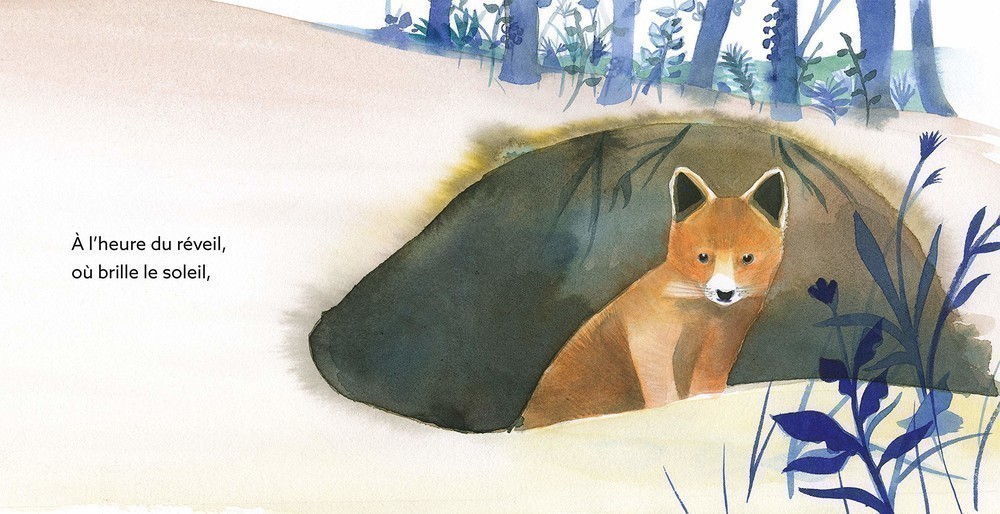 PETIT RENARD