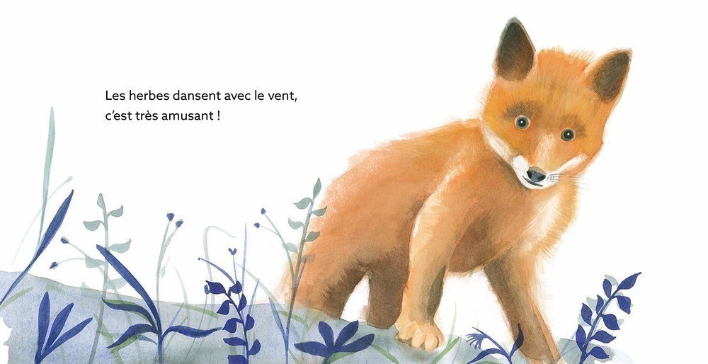 PETIT RENARD