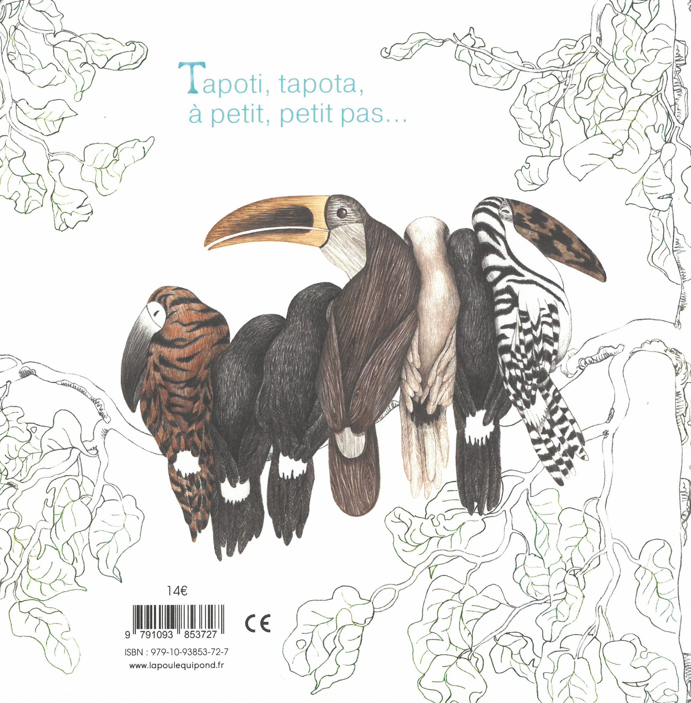 LA COMPTINE DU TOUCAN
