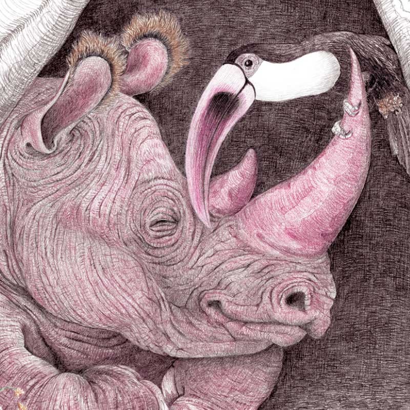 LA COMPTINE DU TOUCAN