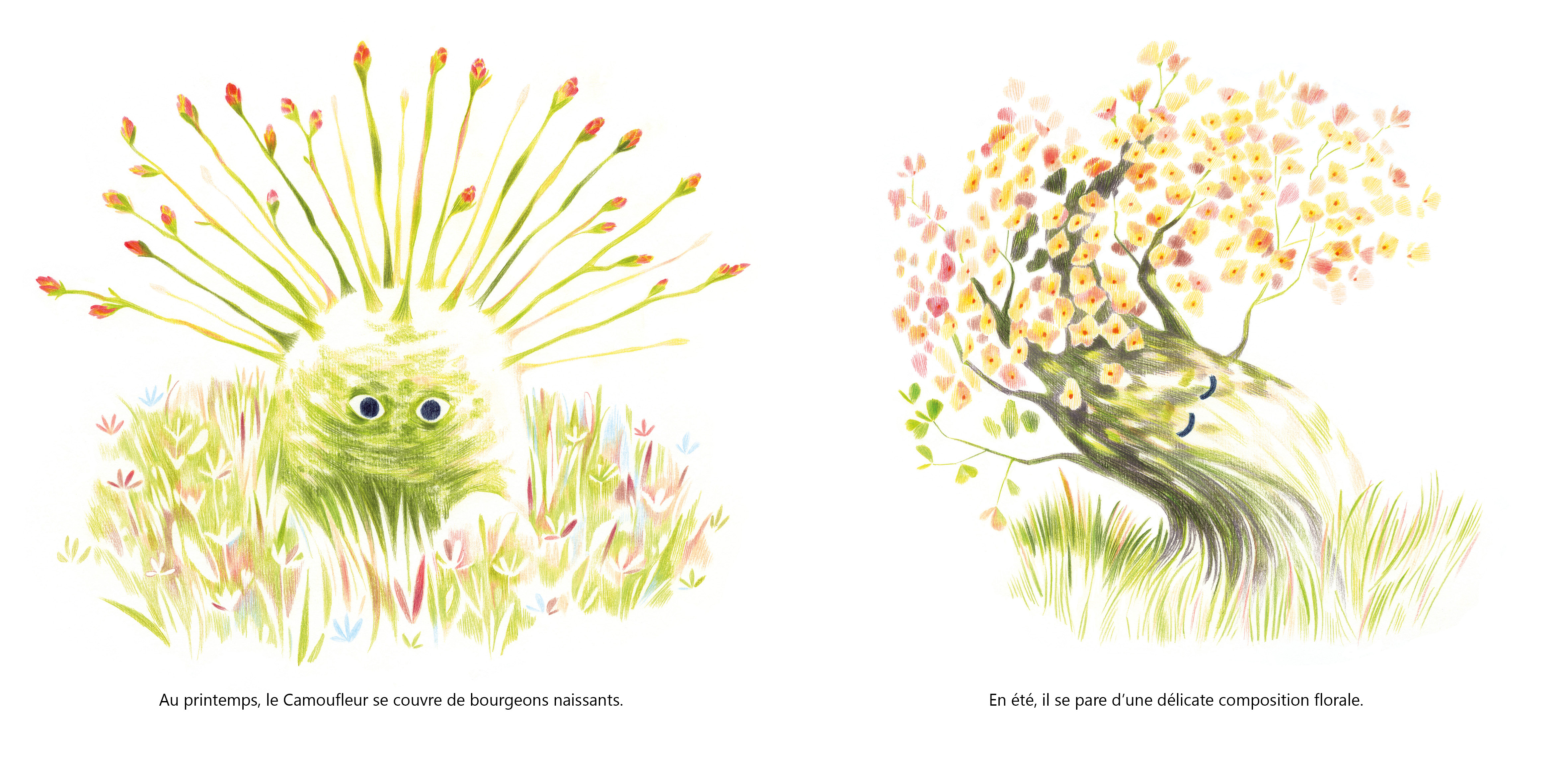 CAMOUFLEUR