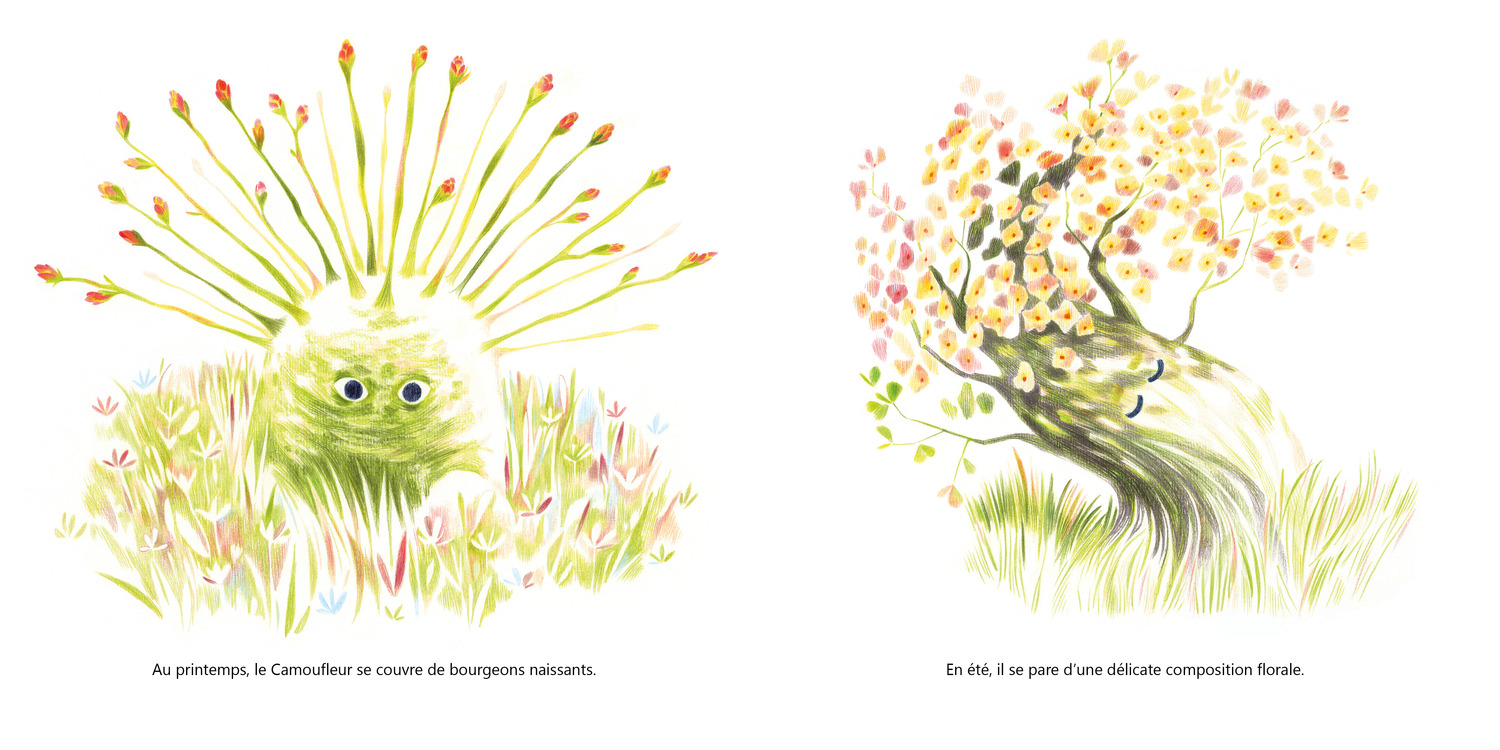CAMOUFLEUR