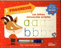 Les lettres minuscules scriptes