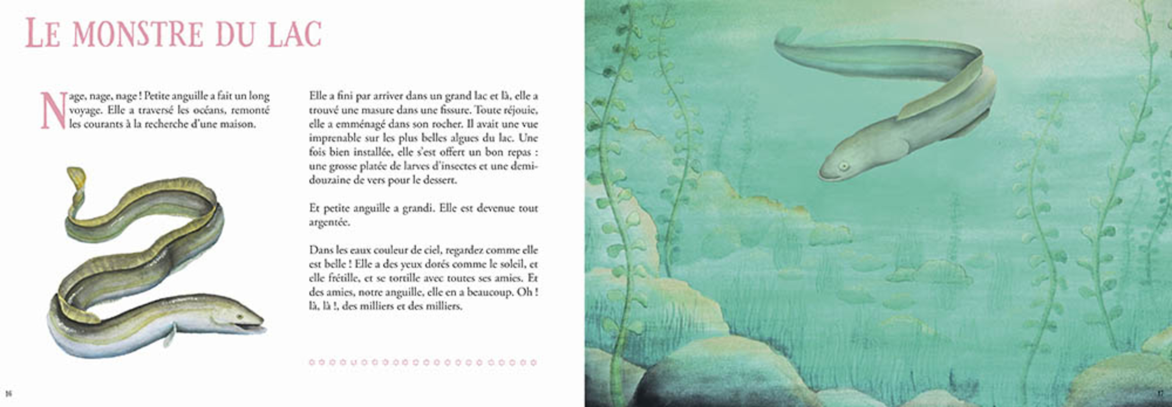 Les Contes Rocambolesques Des Lacs Suisses