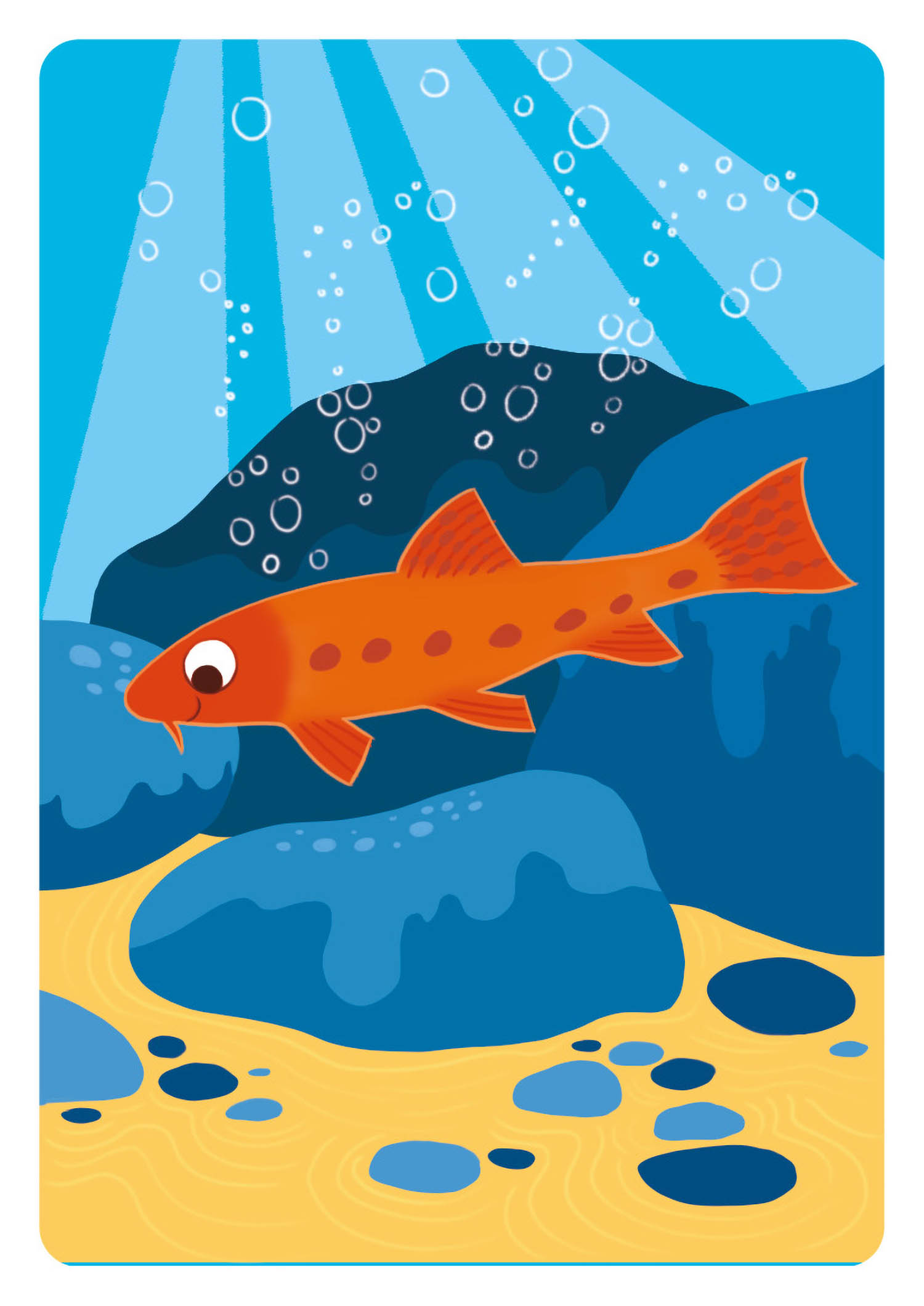 Jeu De Cartes - Jeu De Cartes : Gare Au Silure