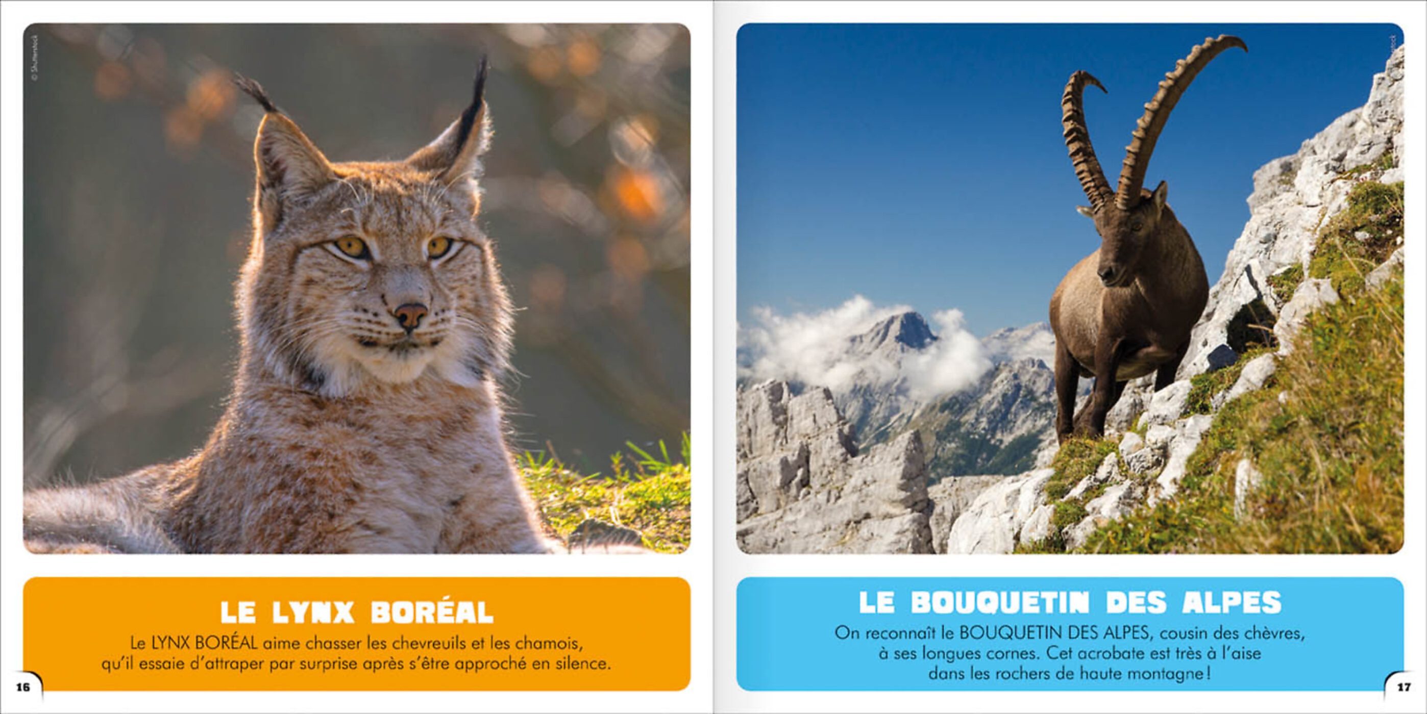 Mon Premier Doc Photo  - Je Découvre Le Valais