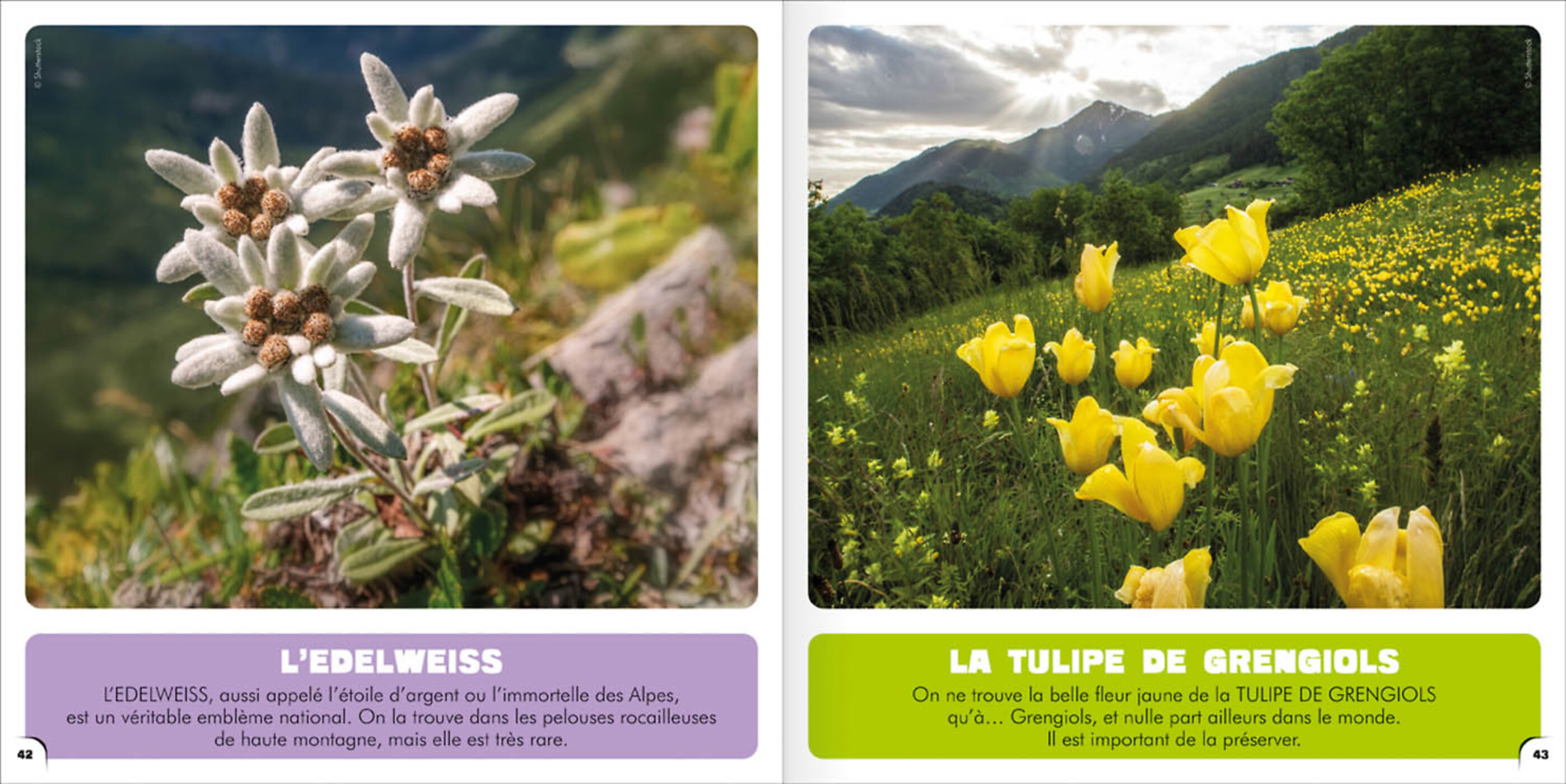 Mon Premier Doc Photo  - Je Découvre Le Valais