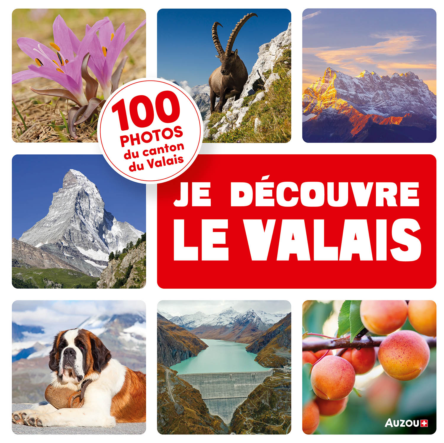 Mon Premier Doc Photo  - Je Découvre Le Valais