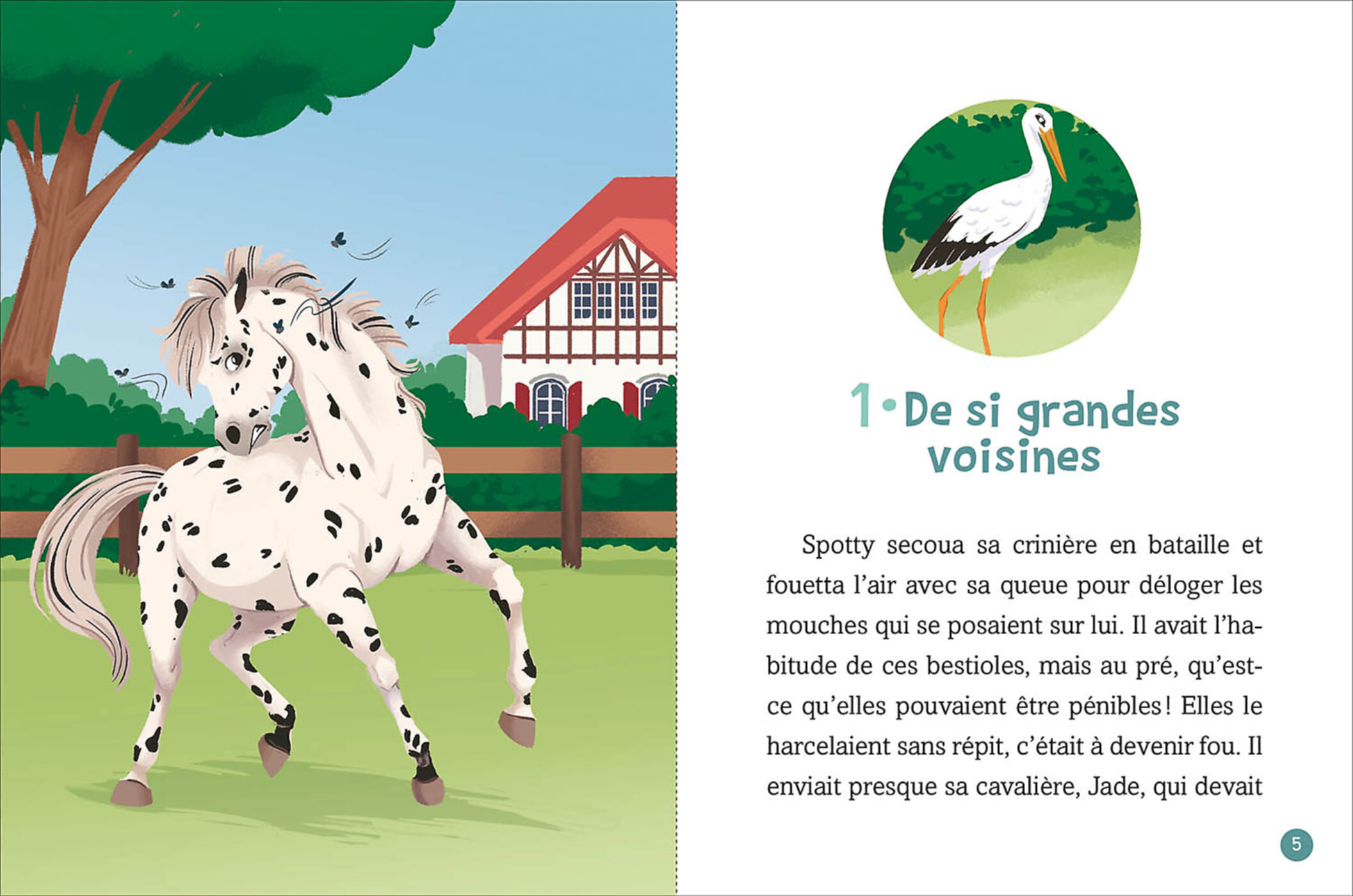 Les Chevaux D'avenches - Frayeur Au Haras