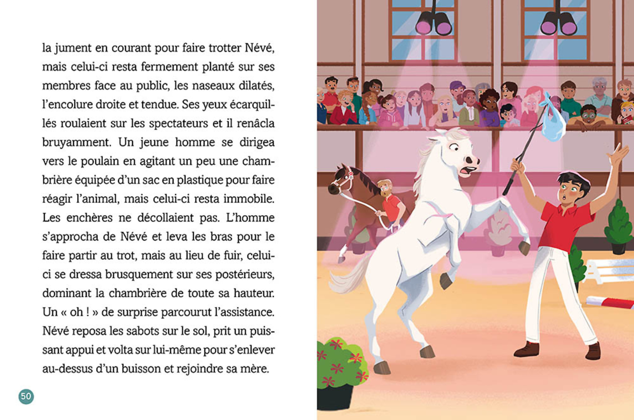 Les Chevaux D'avenches - Le Poulain Blanc