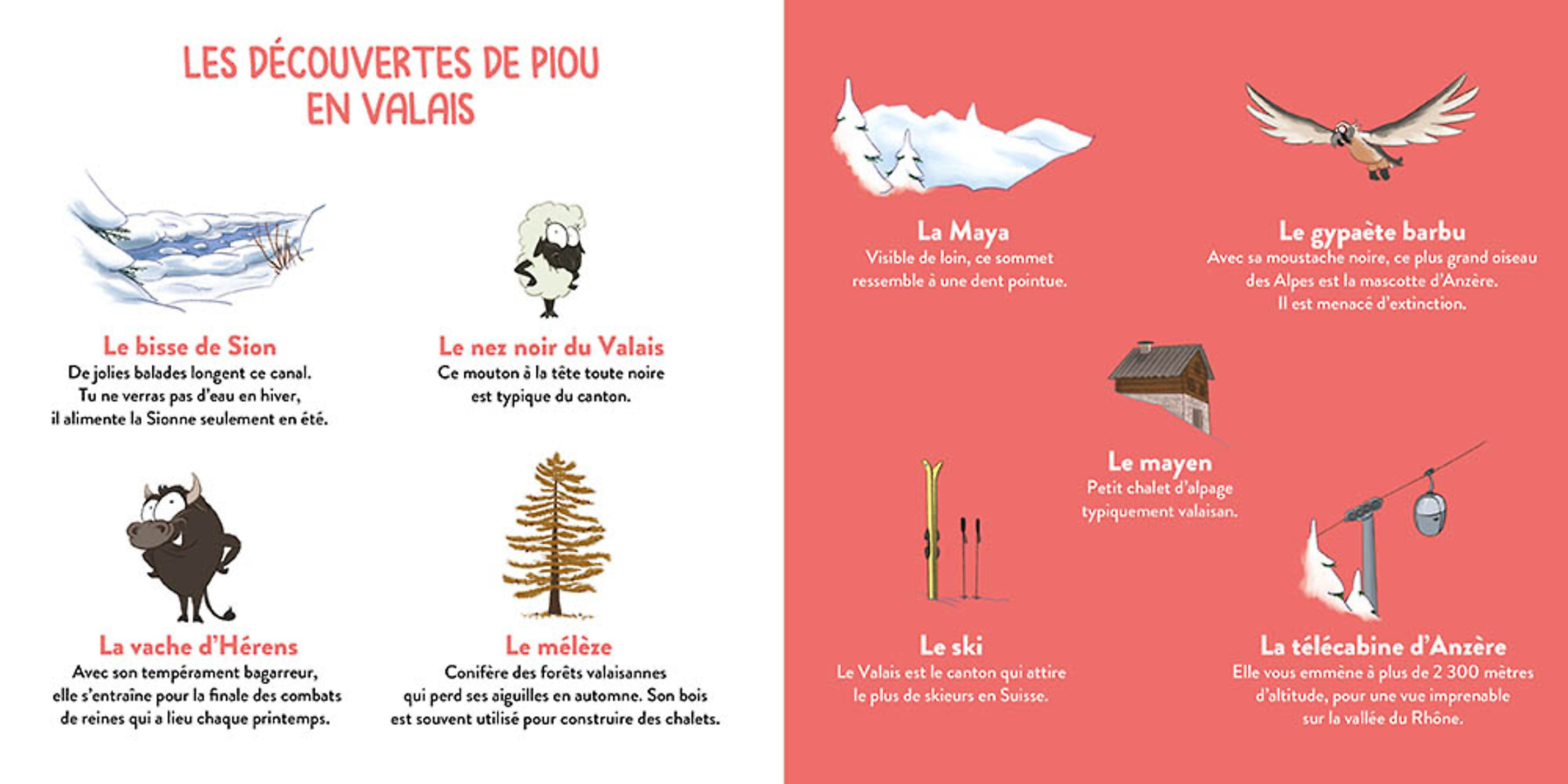 Piou Le Coucou En Valais