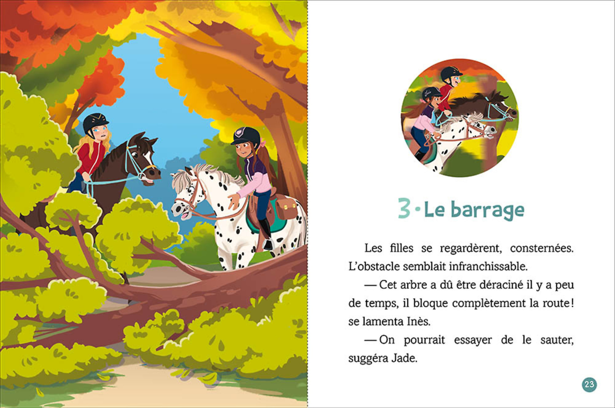 Les Chevaux D'avenches - Une Randonnée Surprenante