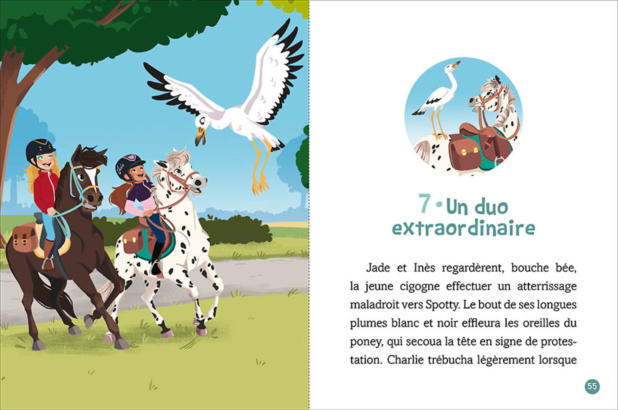 Les Chevaux D'avenches - Une Randonnée Surprenante